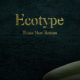 ecotype times new roman