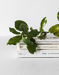 Photo livres et houx Photo livres et houx