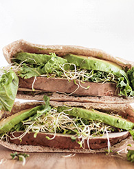 Photo sandwich