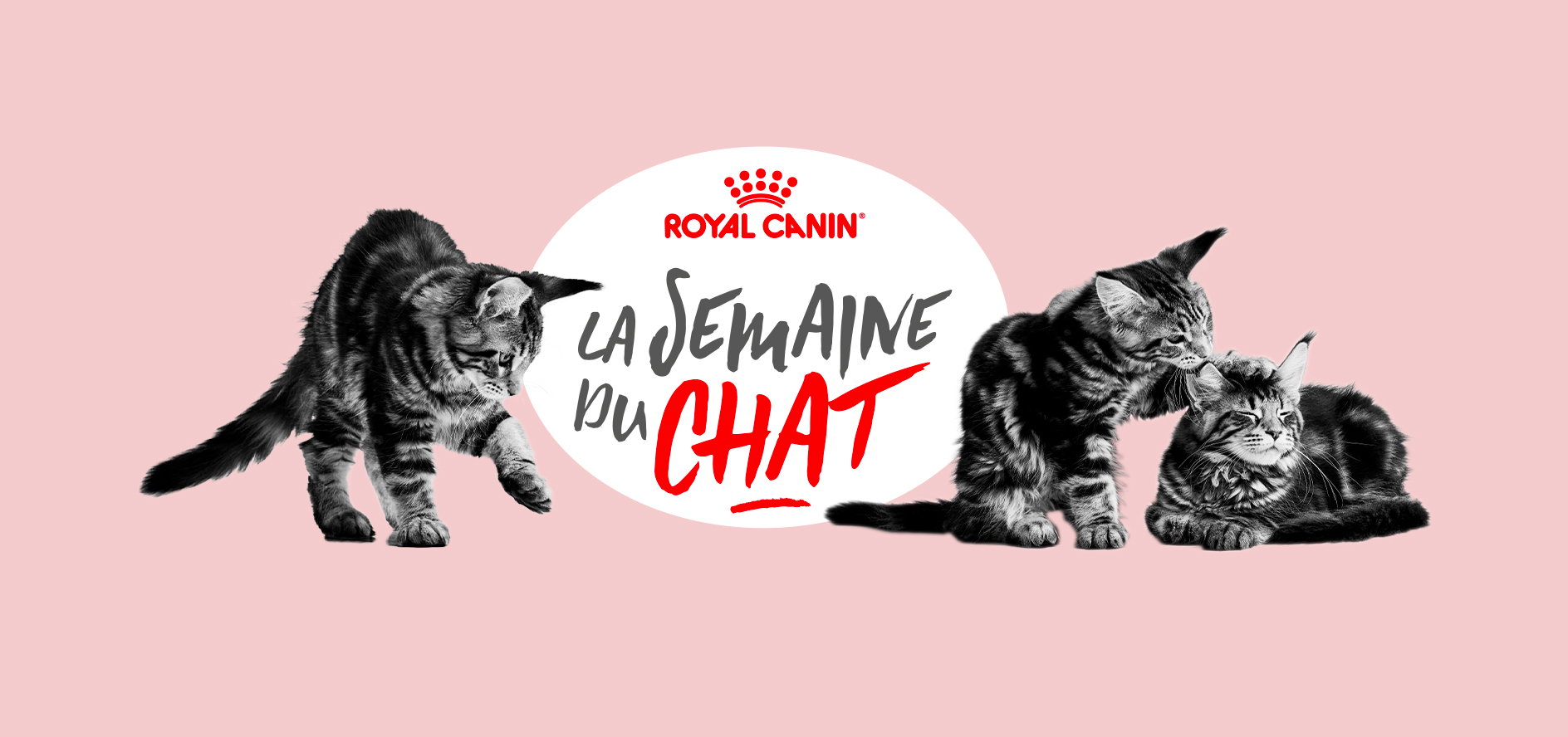 Royal Canin