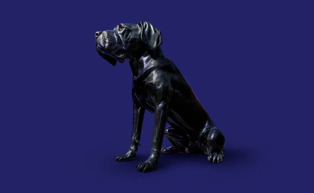 Losc territoire de marque B to B